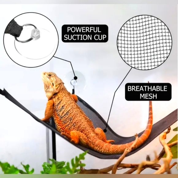 Iguana/Lizard Hammock - Picture 2 of 8